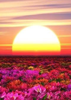 Lucy Franzese Cuesta