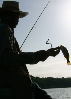 Matthew S. Sosnowski